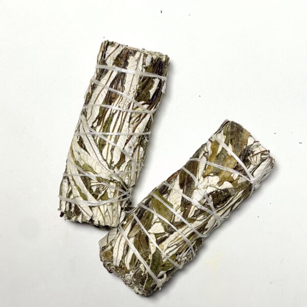 Yerba Santa Smudging Herb - Image 2